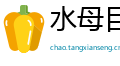 水母目虾网